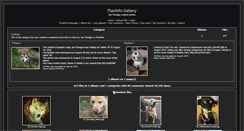 Desktop Screenshot of gallery.joe-flanigan.info